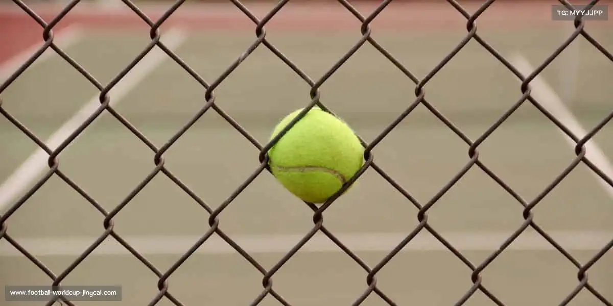 我们的品牌价值